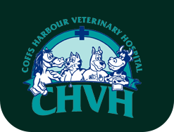 Coffs Harbour Veterinary Hospital