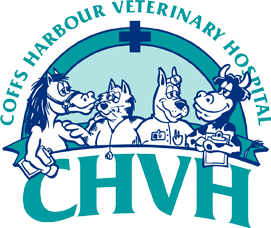 Coffs Harbour Veterinary Hospital